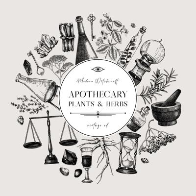 Antique apothecary label design. Vintage chemistry hand-drawn vector illustrations. Alchemy sketches. NOT AI generated